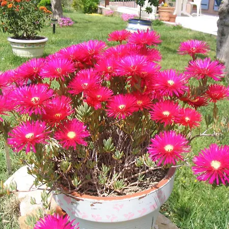 Villa La Guileane Ceyreste